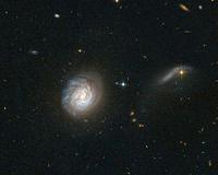 The Hubble Showdown: Starbursts versus Monsters