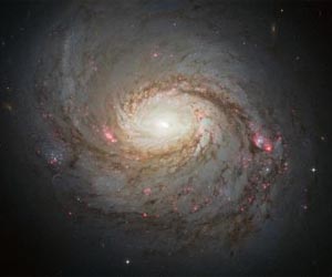 Hubble observes the hidden depths of Messier 77