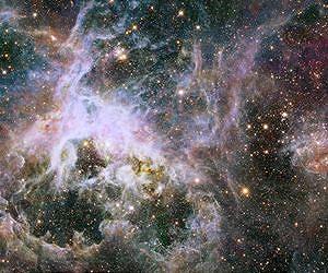 Hubble Probes Interior of Tarantula Nebula