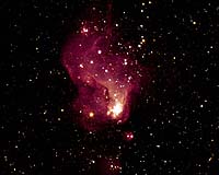 A Giant Star Factory In Neighboring Galaxy