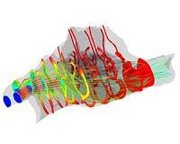 Human ancestors explored 'out of Africa' despite impaired nasal faculties