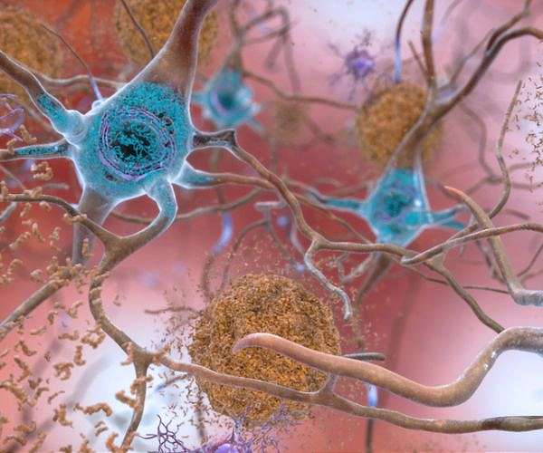 California enacts law to protect brain data