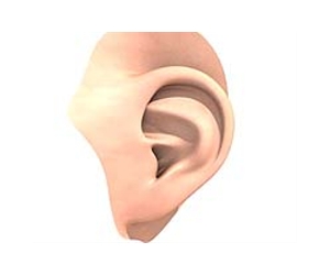 Lifelike ears created with 3D printing