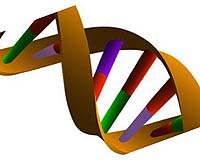 Redefining DNA: Darwin From The Atom Up