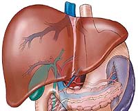 Nanomaterials may pose health risk