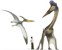 Launching Some 500 Pounds Of Pterosaurs Took Four Legs