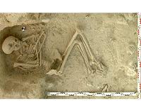 Early farmers from across Europe were direct descendants of Aegeans