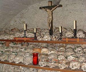 Human skull study causes evolutionary headache