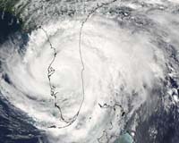 U.S. Hurricanes Cooked Spam Briefly