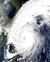 Hurricanes Other Vortices Seize Energy Via Hostile Takeovers