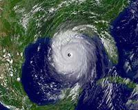 How To Manage Forests In Hurricane Impact Zones