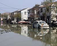 New Orleans Suburb Covered In Slime Faces Uncertain Future