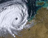 Are Hurricanes Increasing? Ask A Georgia Pine Tree