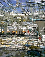 Outages, Looting Hamper Recovery In Hurricane Wilma's Deadly Path