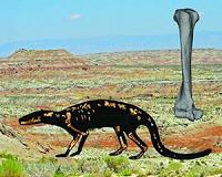 Skeleton reveals the ecology and evolution of early carnivorous mammals