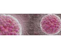 Hydrogels can put stem cells to sleep