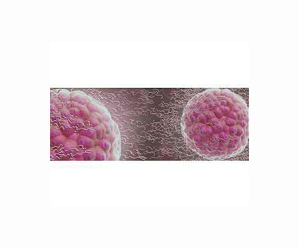 Common air, water pollutants disrupt mucus structure, function