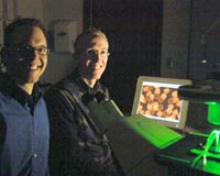 Hydrogel Particles Pave Way For New Bedside Diagnostics