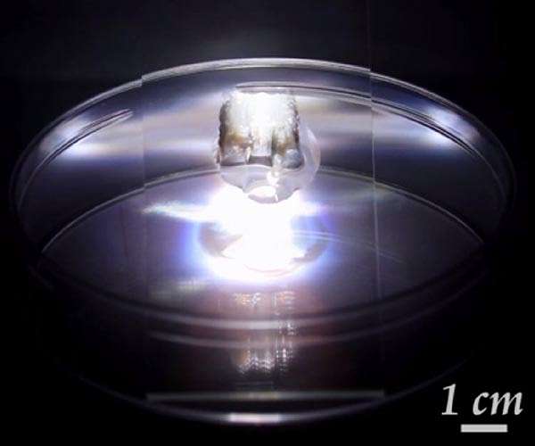 Harnessing solar power for atmospheric water harvesting