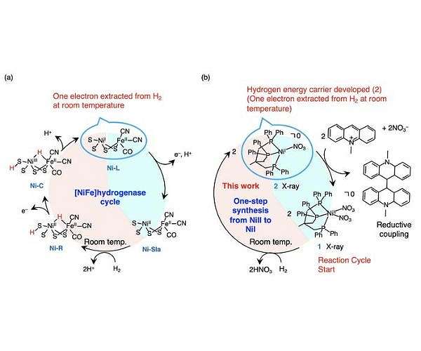 A potentially cheaper and 'cooler' way of hydrogen transport