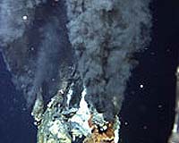 Quakes Under Pacific Floor Reveal Unexpected Circulatory System