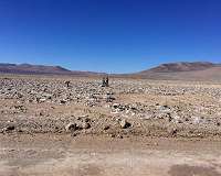 Life in world's driest desert seen as sign of potential life on Mars