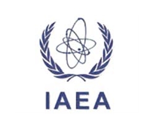 One year after Fukushima, IAEA says nuclear power safer
