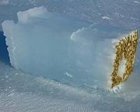 Underwater drones map ice algae in Antarctica