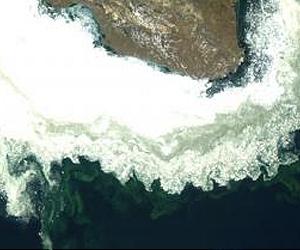 Scripps Oceanography Researchers Discover Arctic Blooms Occurring Earlier