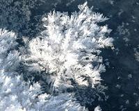 Volcanic event caused ice age during Jurassic Period