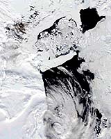Huge Antarctic Iceberg Makes A Big Splash On Sea Life