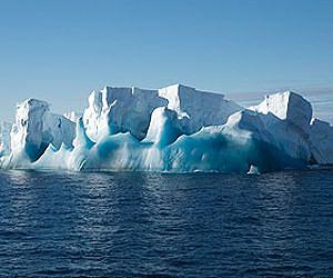 No plain sailing for marine life as climate warms