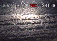 Ice Probe Reveals First-Ever Images Deep Within Antarctic Streams