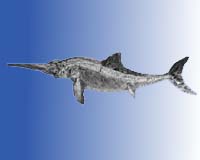 Pregnant Prehistoric Fossil Offers Clues To Past