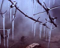 The Point Of Icicles
