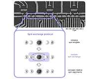 Long-distance quantum information exchange achieves success at the nanoscale