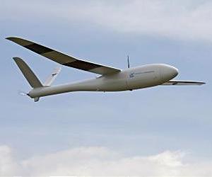 MIT researchers find critical speed above which birds and UAVs will crash