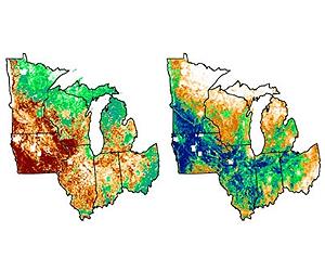 Bioenergy Choices Could Dramatically Change Midwest Bird Diver