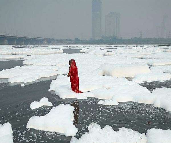 India climate activist firm denies misuse of foreign funds; Turkish eco journalist beaten to death