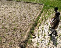 Drought-hit Indian farmers sell wives to pay debts