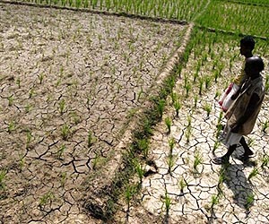 Low-tech, low-cost solutions connecting India's farmers