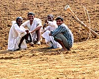 India summer crops may be 20 pct below normal: govt