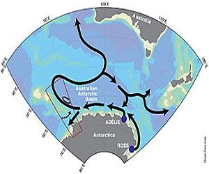 Ozone thinning has changed ocean circulation