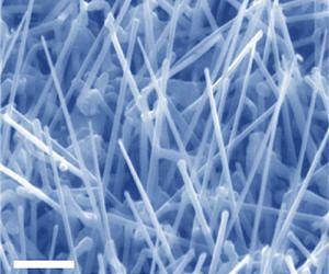 Voltage increases up to 25 percent observed in closely packed nanowires at Sandia Labs