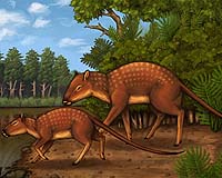 Fit for porpoise: tiny mammal was ancestor of cetaceans