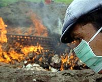 Revealing The Global Threat Of Bird Flu