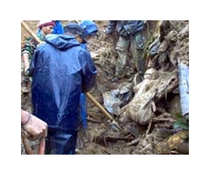 17 killed, two missing in Indonesian landslide: govt