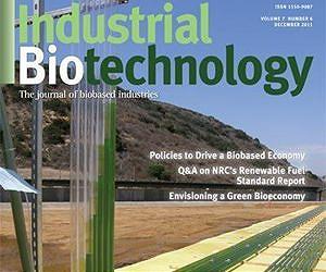 Sustainable land use strategies to support bioenergy