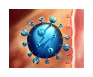 Botanical compound could prove crucial to healing influenza