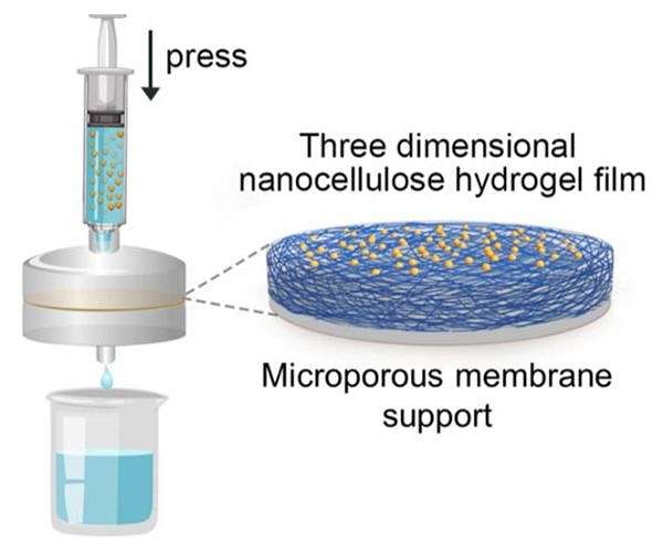 Injectable water filtration system could improve access to clean drinking water around the world